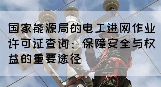 国家能源局的电工进网作业许可证查询：保障安全与权益的重要途径