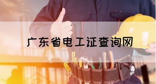 广东省电工证查询网(图1)