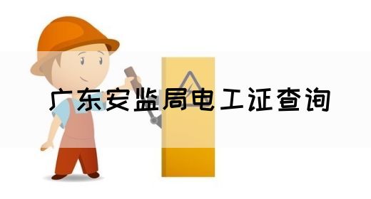 广东安监局电工证查询(图1)