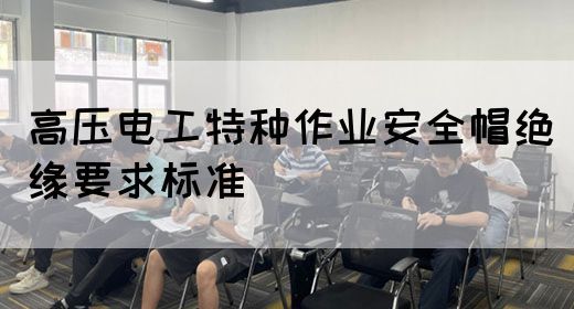 高压电工特种作业安全帽绝缘要求标准(图1)