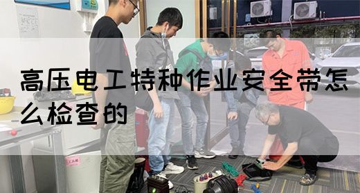 高压电工特种作业安全带怎么检查的(图1)