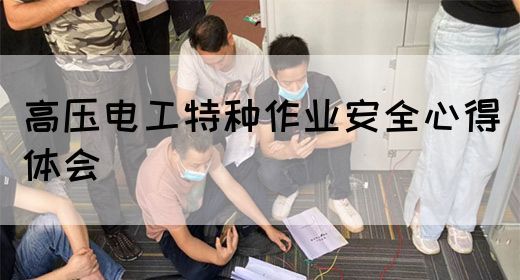 高压电工特种作业安全心得体会(图1)