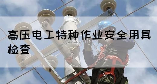 高压电工特种作业安全用具检查(图1)