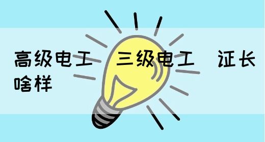 高级电工（三级电工）证长啥样