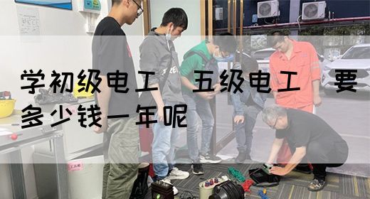 学初级电工（五级电工）要多少钱一年呢(图1)