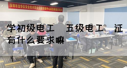 学初级电工（五级电工）证有什么要求嘛(图1)