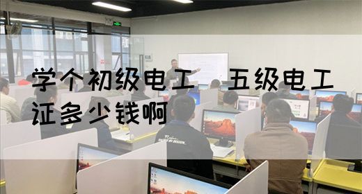 学个初级电工（五级电工）证多少钱啊(图1)