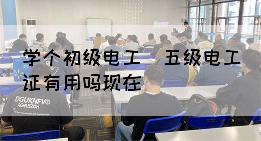 学个初级电工（五级电工）证有用吗现在(图1)