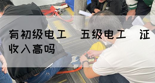 有初级电工（五级电工）证收入高吗(图1)