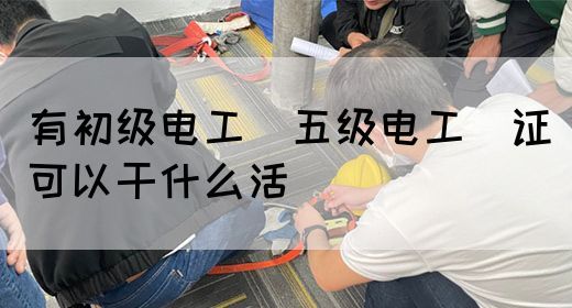 有初级电工（五级电工）证可以干什么活(图1)