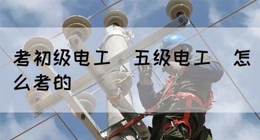 考初级电工（五级电工）看什么书比较好(图1)