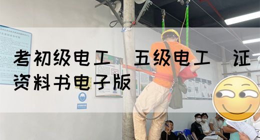 考初级电工（五级电工）证资料书电子版(图1)