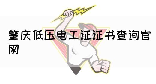 肇庆低压电工证证书查询官网(图1)