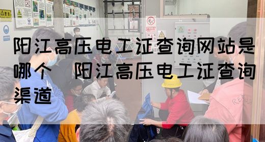 阳江高压电工证查询网站是哪个（阳江高压电工证查询渠道）(图1)