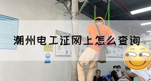 潮州电工证网上怎么查询