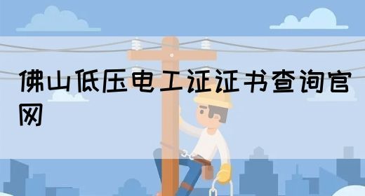 佛山低压电工证证书查询官网(图1)