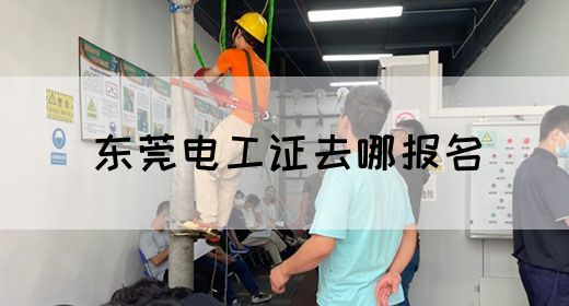 东莞电工证去哪报名