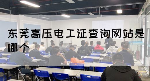 东莞高压电工证查询网站是哪个