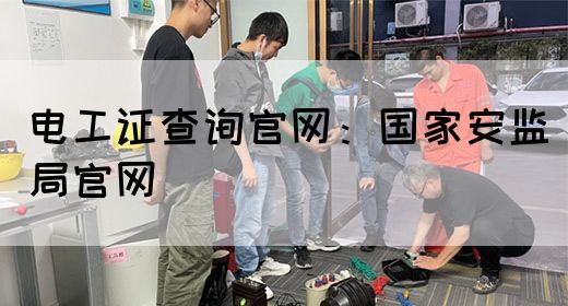 电工证查询官网：国家安监局官网(图1)