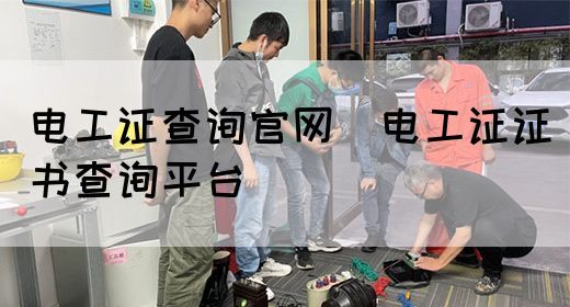 电工证查询官网（电工证证书查询平台）(图1)